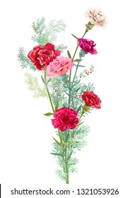 Bouquet of carnation schabaud, pink, white, red flowers, green twigs asparagus, white background, card for Mother's Day, Victory day, digital draw, illustration in watercolor style, vector