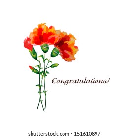bouquet of carnations