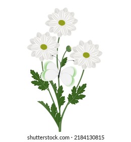 Bouquet of chamomile chrysanthemums with a butterfly on a white background.