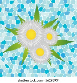 Bouquet of chamomile on blue background, vector illustration