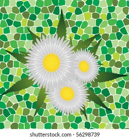 Bouquet of chamomile on green background, vector illustration