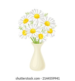 Bouquet of chamomile in  white vase isolated. Vector illustration of beautiful daisy flowers in cartoon flat style.