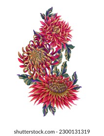 Bouquet with chrysanthemum isolated. Vector