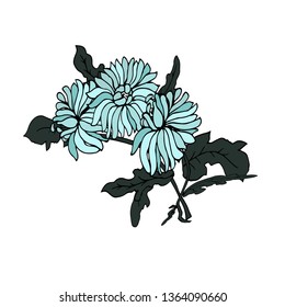 Bouquet of chrysanthemums. Vector illustration