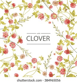 Bouquet of clover flowers. Frame.