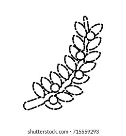 Bouquet of coffee leaves