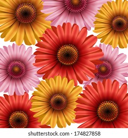 bouquet of colored Gerber daisies on a white background