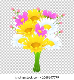 Bouquet of colorful flowers, vector drawing. Bright meadow buds yellow and white chamomile, cosmos pink flowers and stalks isolated on a transparent background. Graphic art, decoration element