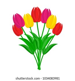 Bouquet of colorful tulips in flat design. Vector illustration. Bouquet of seven tulips, isolated on white background