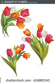 Bouquet of colorful Tulips flowers, isolated on white background. Fresh spring illustration