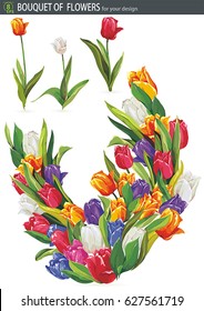 Bouquet of colorful Tulips flowers, isolated on white background. Fresh spring illustration