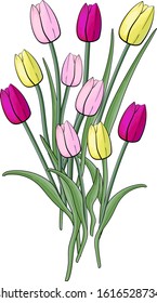 Bouquet of colorful tulips isolated. Yellow, pale pink, red tulips with green leaves. Art vector illustration. Spring flowers. Romantic element for greeting cards, wedding decoration, Easter. Sketch