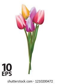 Bouquet of colorful tulips on a white. Realistic vector 3d illustration