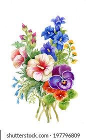 Bouquet of colorful wildflowers vector