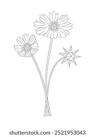 Bouquet of cosmea flowers. Bunch of blooming perennial wild plants. Line art, minimal style, contour. Botanical hand-drawn elements for design projects. Vector illustration