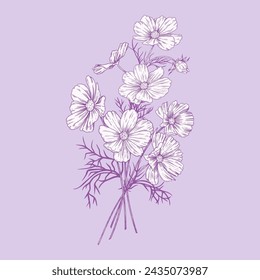 
Bouquet of cosmea flowers. Hand draw vintage flowers on a on a lilac background. Vector floral illustration.