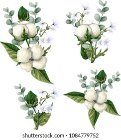 Bouquet  with cotton flowers and eucalyptus branches  on a white background. Vector illustration