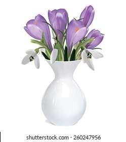 Bouquet of crocuses and snowdrops. Vector illustration