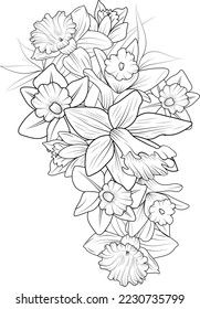 Bouquet of daffodil flower  hand drawn pencil sketch blossom narcissus coloring page and book for adult tattoing isolated on white background floral element illustration ink art.
