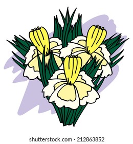 Bouquet of daffodils