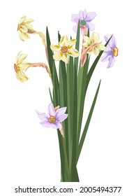 Bouquet daffodils (narcissus), white paperwhite flowers with green leaves. First spring blossom, symbol of Christmas. Digital illustration in watercolor style for wedding anniversary, vintage, vector