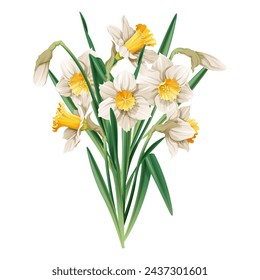 Bouquet of daffodils on an isolated background. Illustration of spring flowers. Decor for Easter