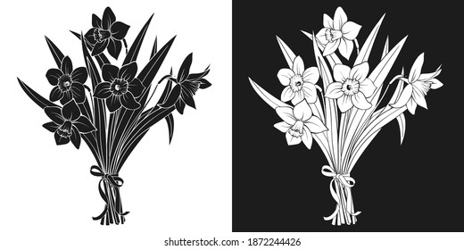 Bouquet of daffodils, ribbon, black and white silhouette. Hand drawn sketch of blossoming narcissus flowers. Vector for spring holidays design, greeting card on Womens day, Valentine, Easter.