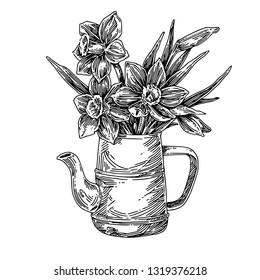 Bouquet of daffodils in a teapot. Sketch. Engraving style. Vector illustration