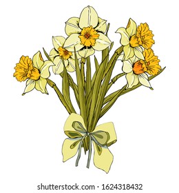 A bouquet of daffodils tied with a bow. Vector illustration Bouquet. They are ideal for background paper, album layouts, invitations, greeting cards, stickers, gift tags, stickers. europe germany