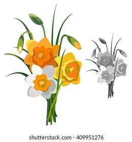 A bouquet of daffodils. Vector illustration.