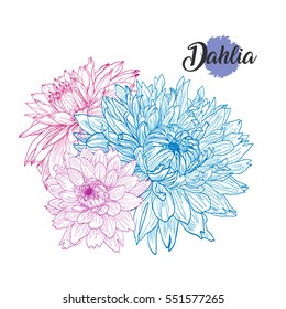 Bouquet of dahlias closeup. Highly detailed hand drawn sketch. Isolated vector illustration in line art style. Botanical.