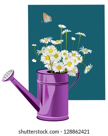 bouquet of daisies