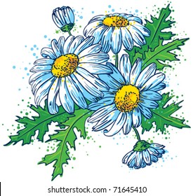 Bouquet of Daisies