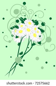 Bouquet of daisies