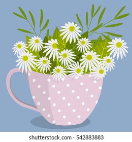Bouquet of daisies in cup