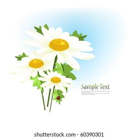 Bouquet of daisies, embellished postcard
