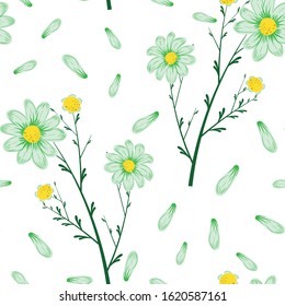 Bouquet of daisies with falling petals seamless vector illustration on white background. Fresh chamomile pattern wallpaper