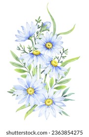 Bouquet of daisies, watercolor illustration. Chamomile floral arrangement of garden daisy flowers, petals, leaves and buds