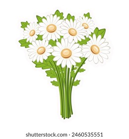 
Bouquet of daisies. Wildflowers. Vector. Close-up. White background. Used for collages and stickers in web design, for cards and congratulations