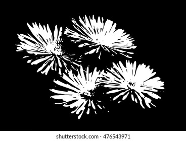 Bouquet of daisy