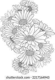 Bouquet of daisy flower  hand drawn pencil sketch coloring page and book for adult isolated on white background floral element illustration ink art.