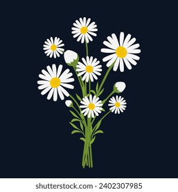 Bouquet of daisy flowers. Chamomile flowers in flat style for March 8 and Valentine's Day. Beautiful bouquet of daisies. Spring floral illustration. Natural Floral Decoration. Flat vector illustration