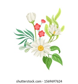 Bouquet of Daisy Flowers Vector Composition. Natural Floral Decoration