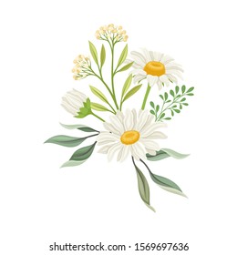 Bouquet of Daisy Flowers Vector Composition. Natural Floral Decoration