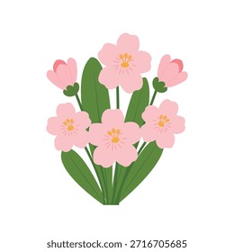 Ein Strauß zarter frühlingsrosa Vergissmeinnicht auf weißem Hintergrund