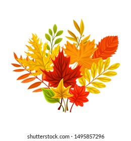 Bouquet of different autumn leaves. Vector illustration on a white background.