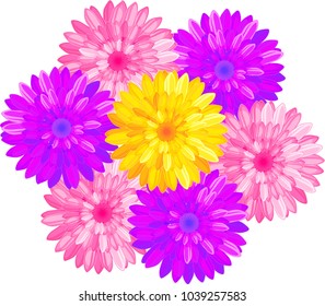 Bouquet of different color flowers with numerous bright petals on white background