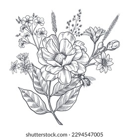 A bouquet of early spring flowers. Botanical style of engraving illustration. Vector. Black and white