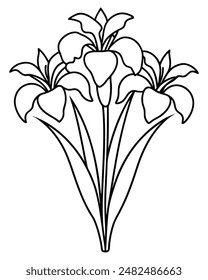 Bouquet of Elegant Iris Flowers in Line Art