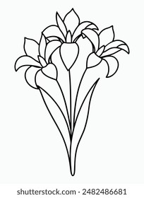 Bouquet of Elegant Iris Flowers in Line Art